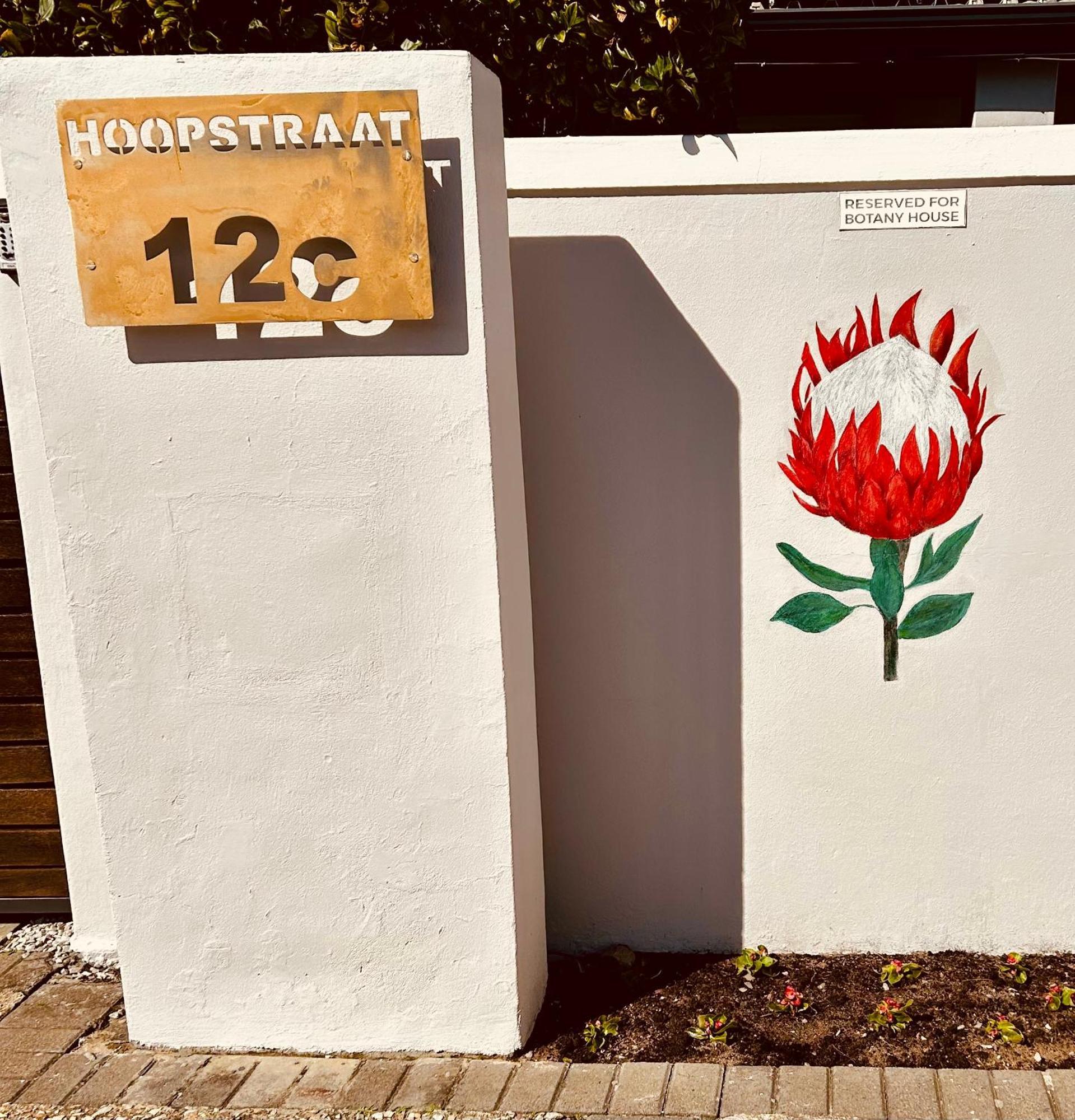 Botany House, In The Heart Of Hermanus Villa Eksteriør bilde